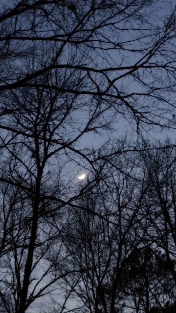 Dusky dark and the moon... by marlboromaam