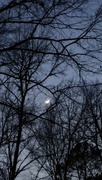 9th Feb 2022 - Dusky dark and the moon...