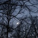 Dusky dark and the moon... by marlboromaam