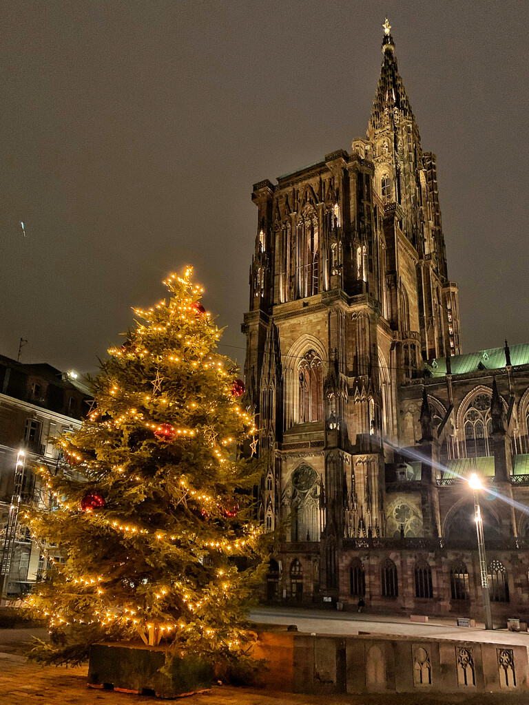 Strasbourg cathedral with a Christmas tree.  by cocobella