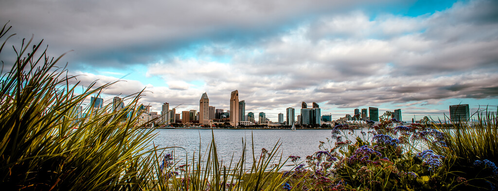 San Diego Skyline by cjoye