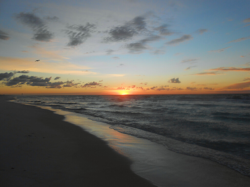 Sunrise at the Beach by njmauthor