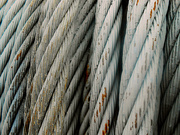 6th Feb 2022 - Steel Cables