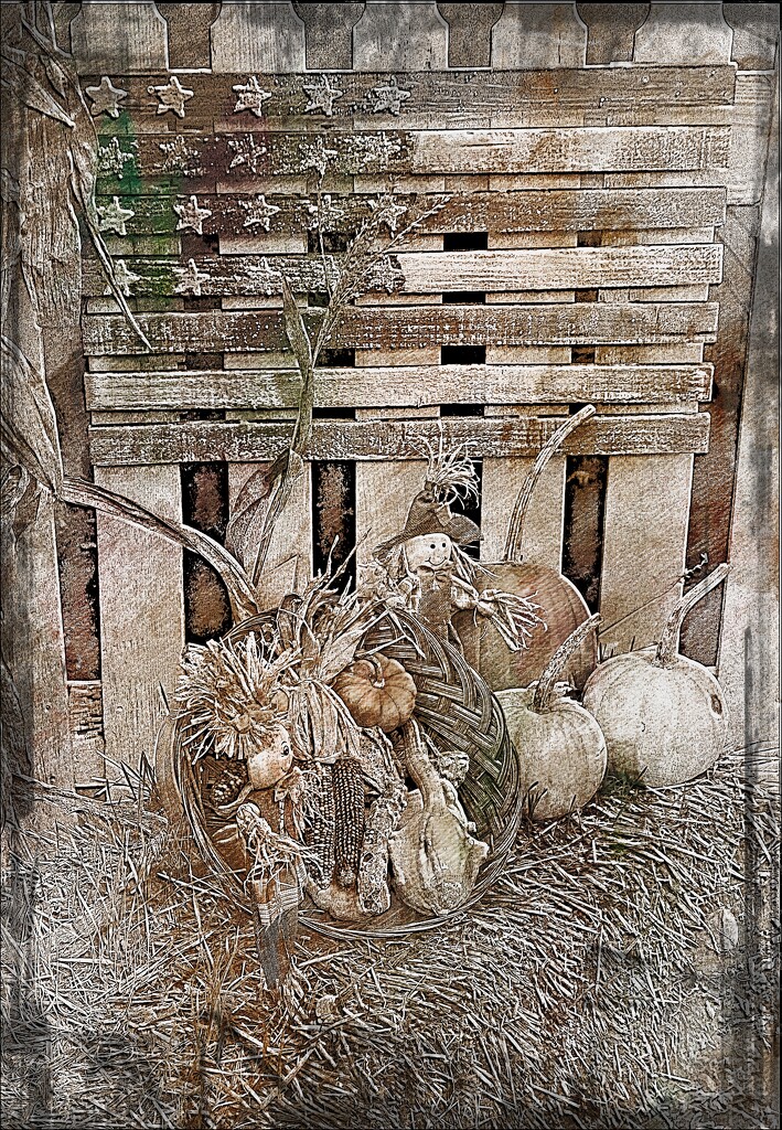 Rustic Harvest by olivetreeann