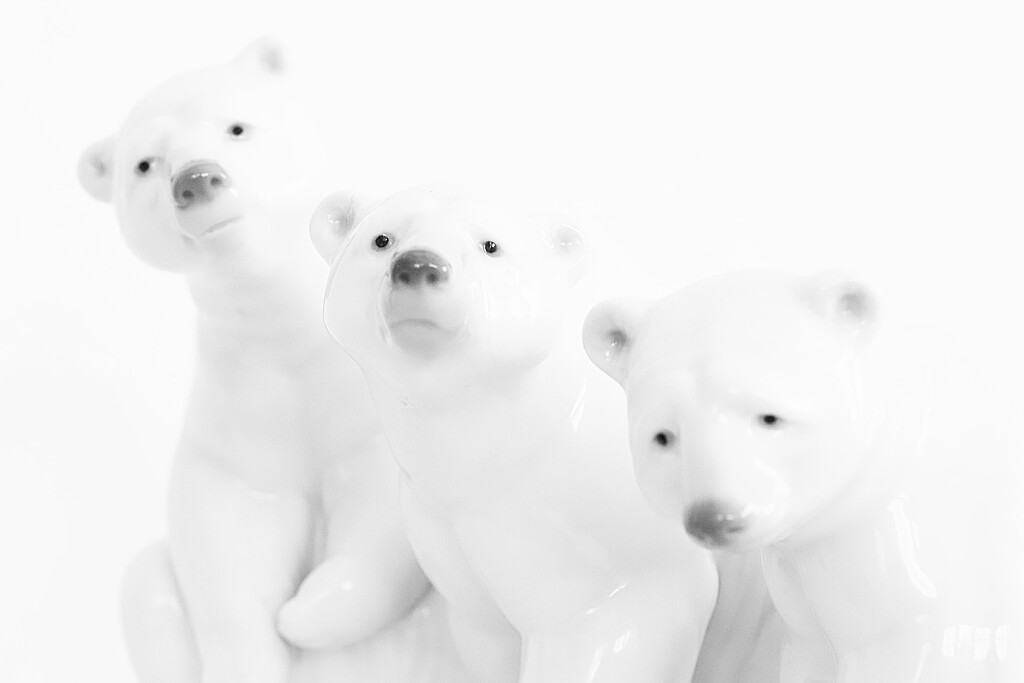 The Three Bears…  by carole_sandford