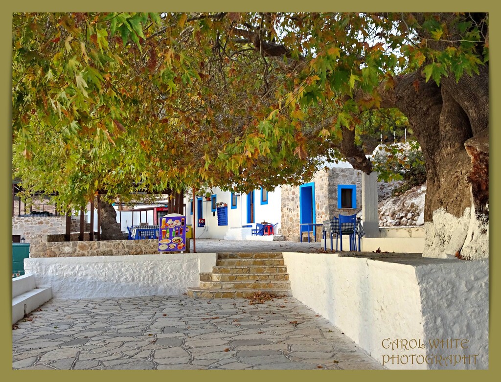 Holiday Memory:Taverna At Agios Ioannis Monastery,Kos by carolmw