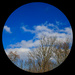 Seasonal Sky by hjbenson