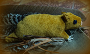 9th Feb 2022 - Horrid Henry's hamster