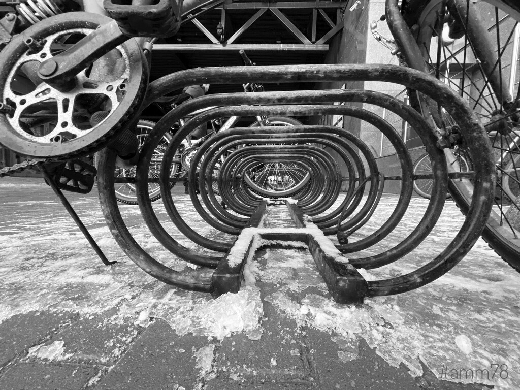 Bicycle parking by alessandro