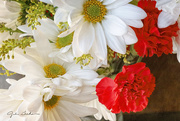 9th Feb 2022 - Carnations and Daisies