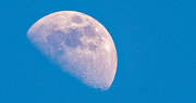 9th Feb 2022 - Today's Moon Shot!
