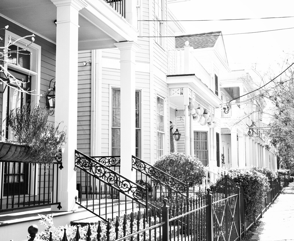 Sunny day in New Orleans by eudora