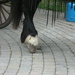 Feet #5: Horse by spanishliz