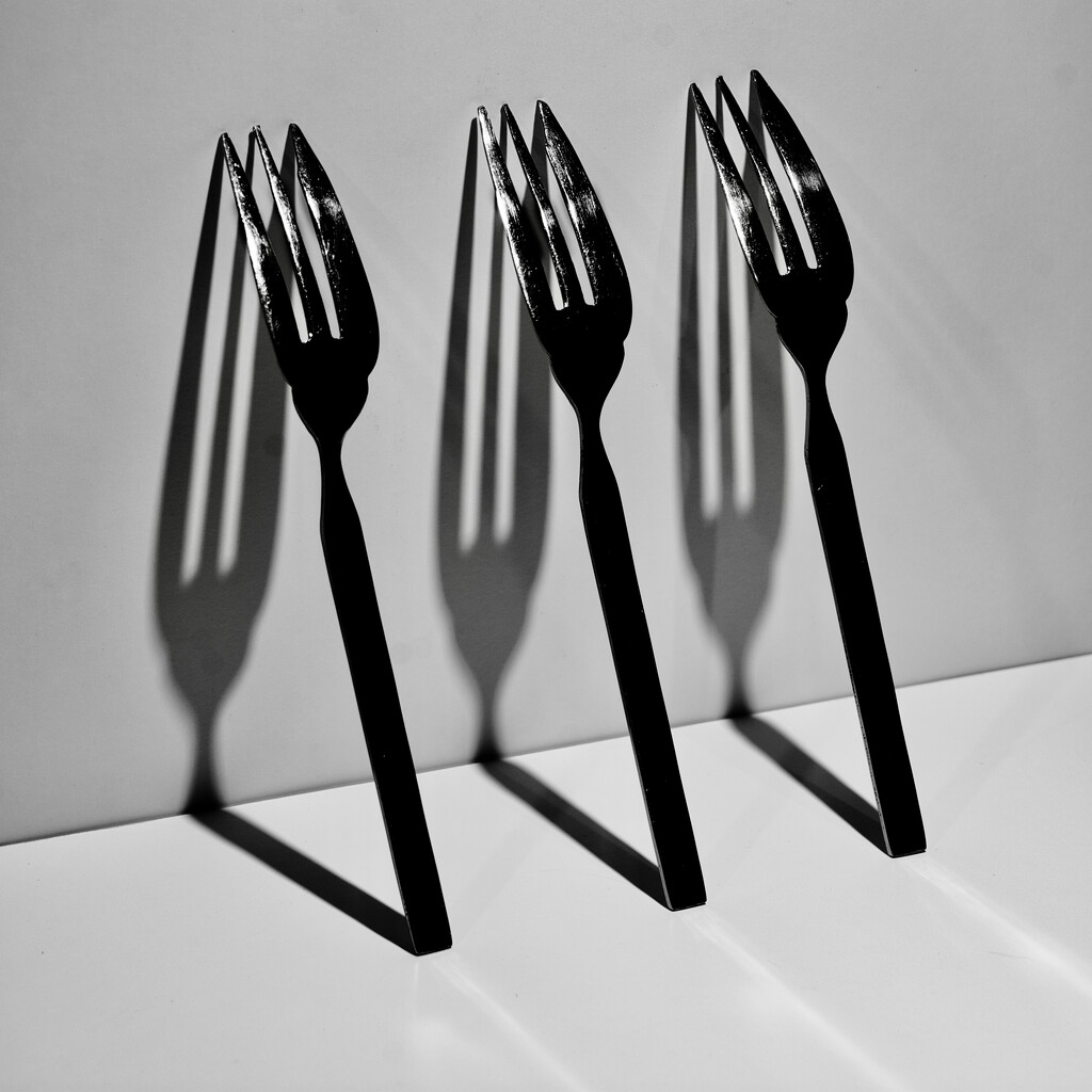 Forks And Shadows But No Cake DSC_0419 by merrelyn