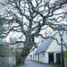 Bare tree and pub. by jon_lip