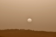 8th Feb 2022 - Rare moment of sun with fog in sepia color