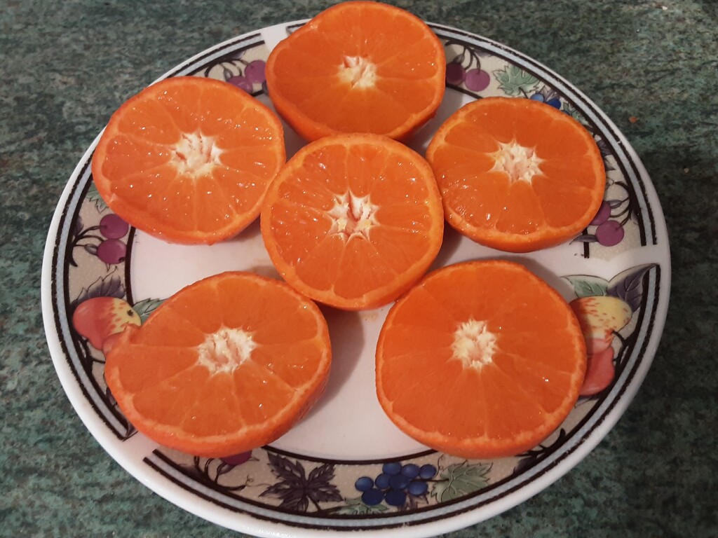 Juicy clementine oranges. by grace55