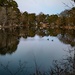 Leonard's Pond - Salisbury MD by happman