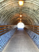 11th Feb 2022 - Tunnel