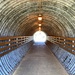 Tunnel by 365canupp