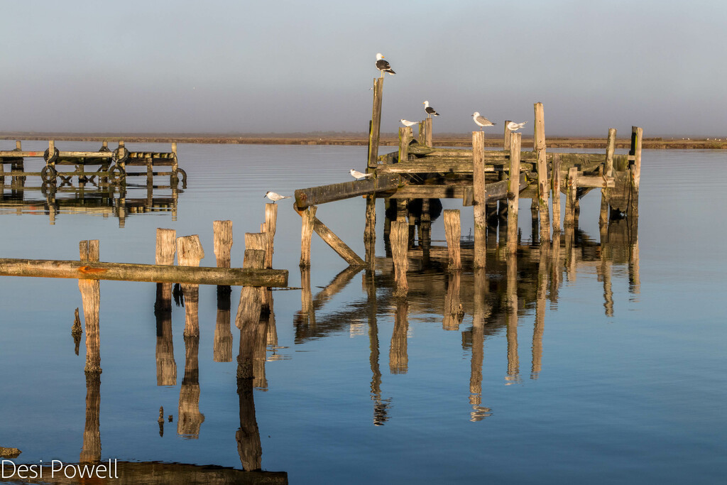 Derelict Jetty in the early morning by seacreature
