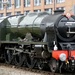Royal Scot - 2 by fishers