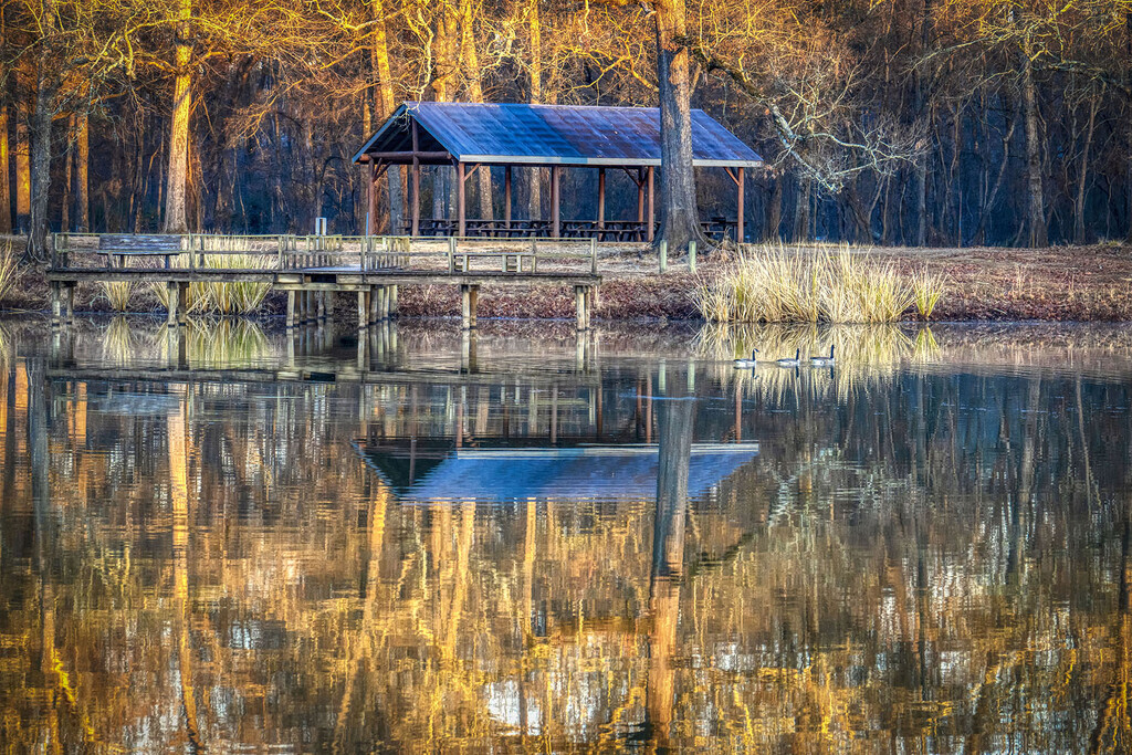 Morning Light by kvphoto