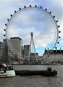 7th Feb 2022 - And circling by the Thames