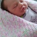 New Great Niece by julie