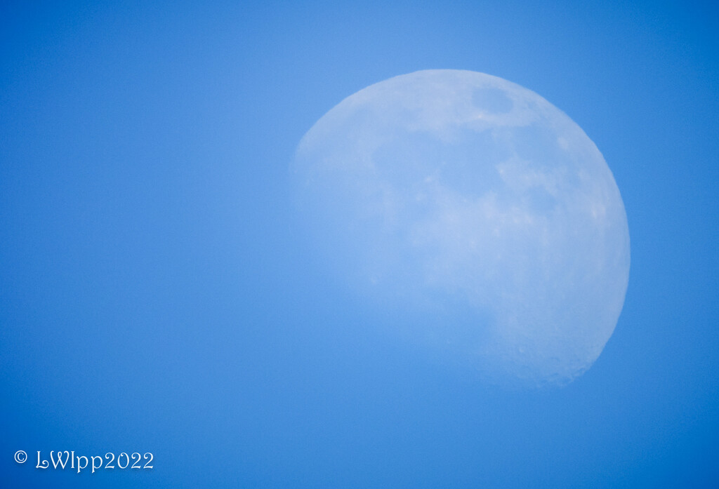 Day Moon by lesip