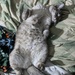 Fluffy Kitty Belly 