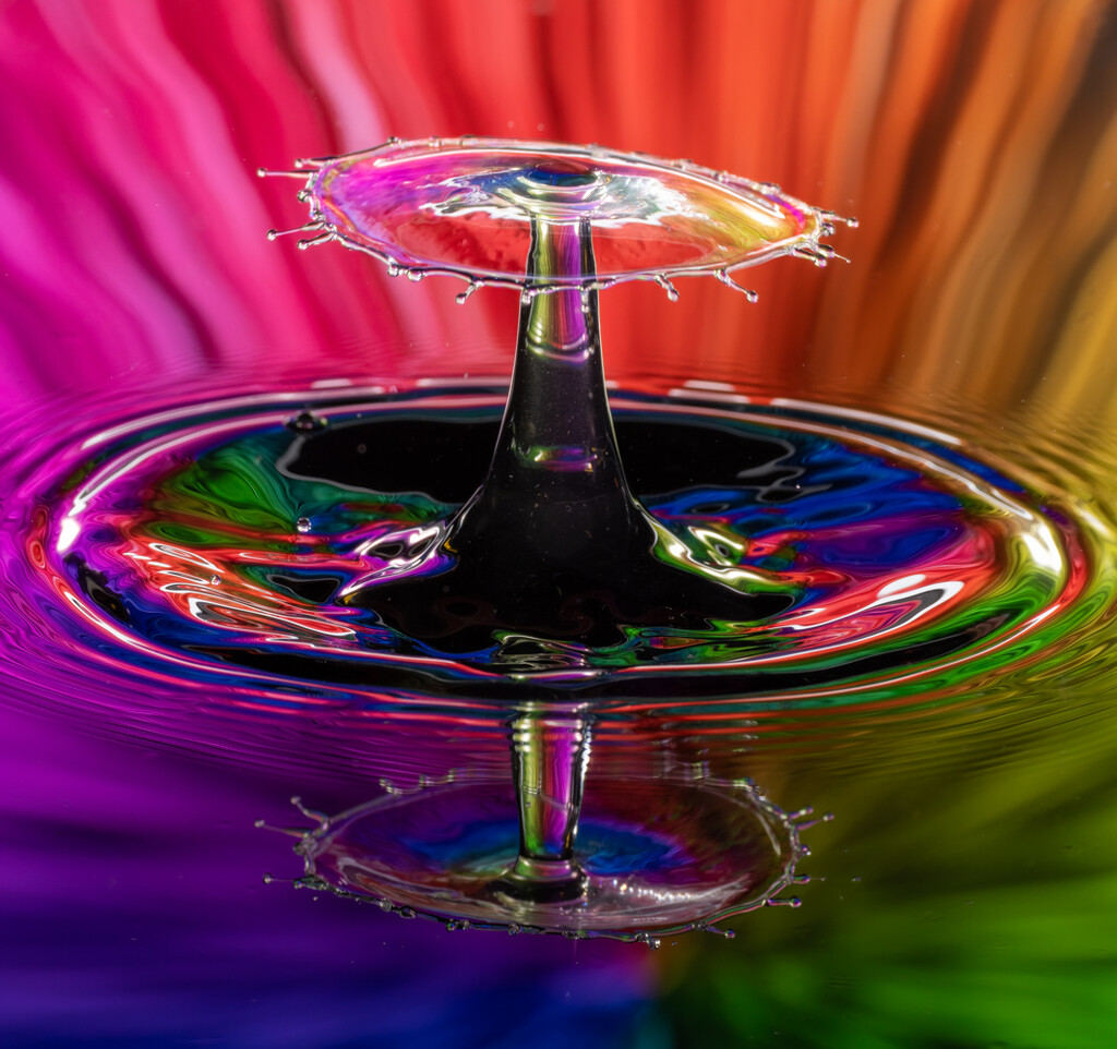 Splashing Colors by jyokota