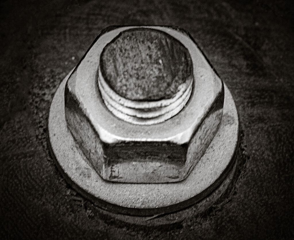 FoR2022: Day 11 - Nut and Bolt by vignouse