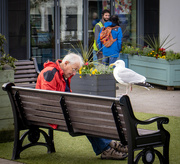 12th Feb 2022 - Two old friends share a bench