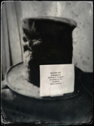 12th Feb 2022 - My great grandfather's Beaver Hat