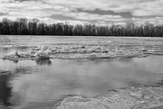 12th Feb 2022 - Icy River