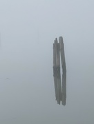 11th Feb 2022 - Foggy Reflections 