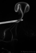 13th Feb 2022 - Smoke on a stick! 