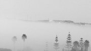 12th Feb 2022 - The fog leaves excellent backgrounds