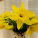 Daffodils by beryl