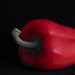 Red Capsicum by yorkshirekiwi