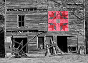 14th Feb 2022 - Flash Of Red - Barn Quilt