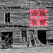Flash Of Red - Barn Quilt by lsquared