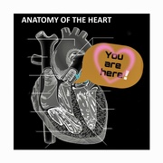 14th Feb 2022 - HEARTnatomy 