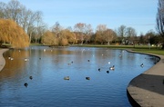 14th Feb 2022 - Lake in Rowntree Park, York (2)
