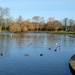 Lake in Rowntree Park, York (2) by fishers