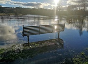 14th Feb 2022 - Flooded Bench