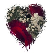 14th Feb 2022 - Painterly Roses