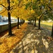 Autumn in New York  by cawu