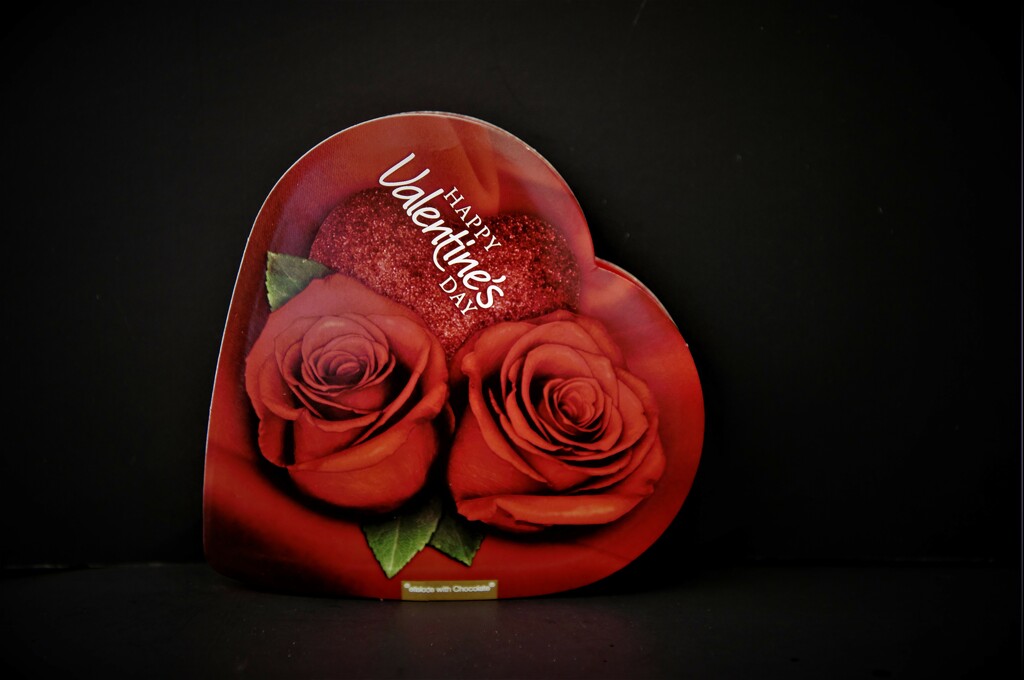 Happy Valentine's Day by chejja